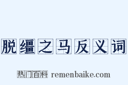 脱缰之马反义词是什么意思的图片